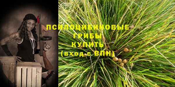 соль ск Осташков