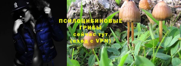 амфетамин Алексин