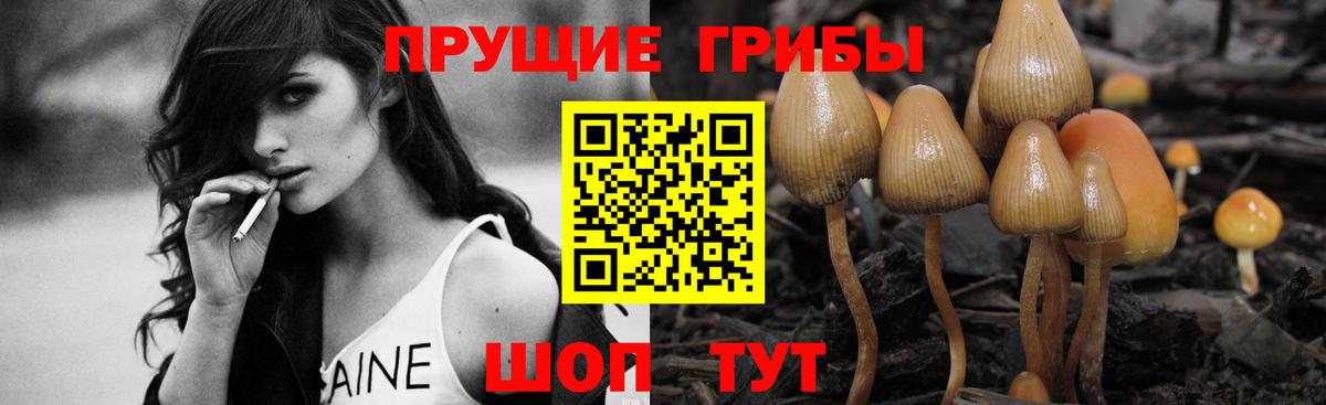Новокубанск  Галлюциногенные грибы прущие грибы  Вход с VPN  Галлюциногенные грибы ЛСД 