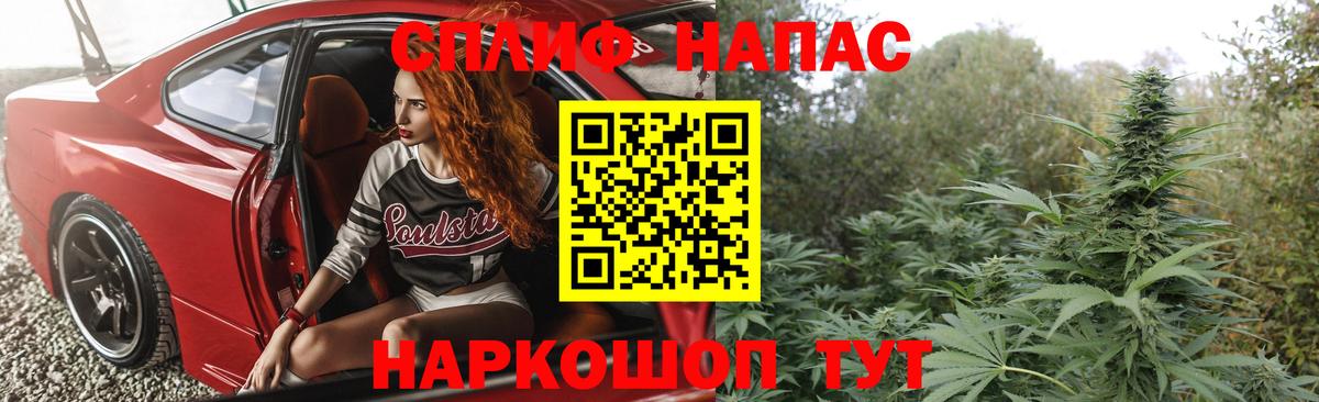 Марихуана семена  Вход с VPN  Новокубанск  Конопля Ganja 
