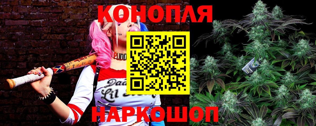 Бошки Шишки гибрид Новокубанск